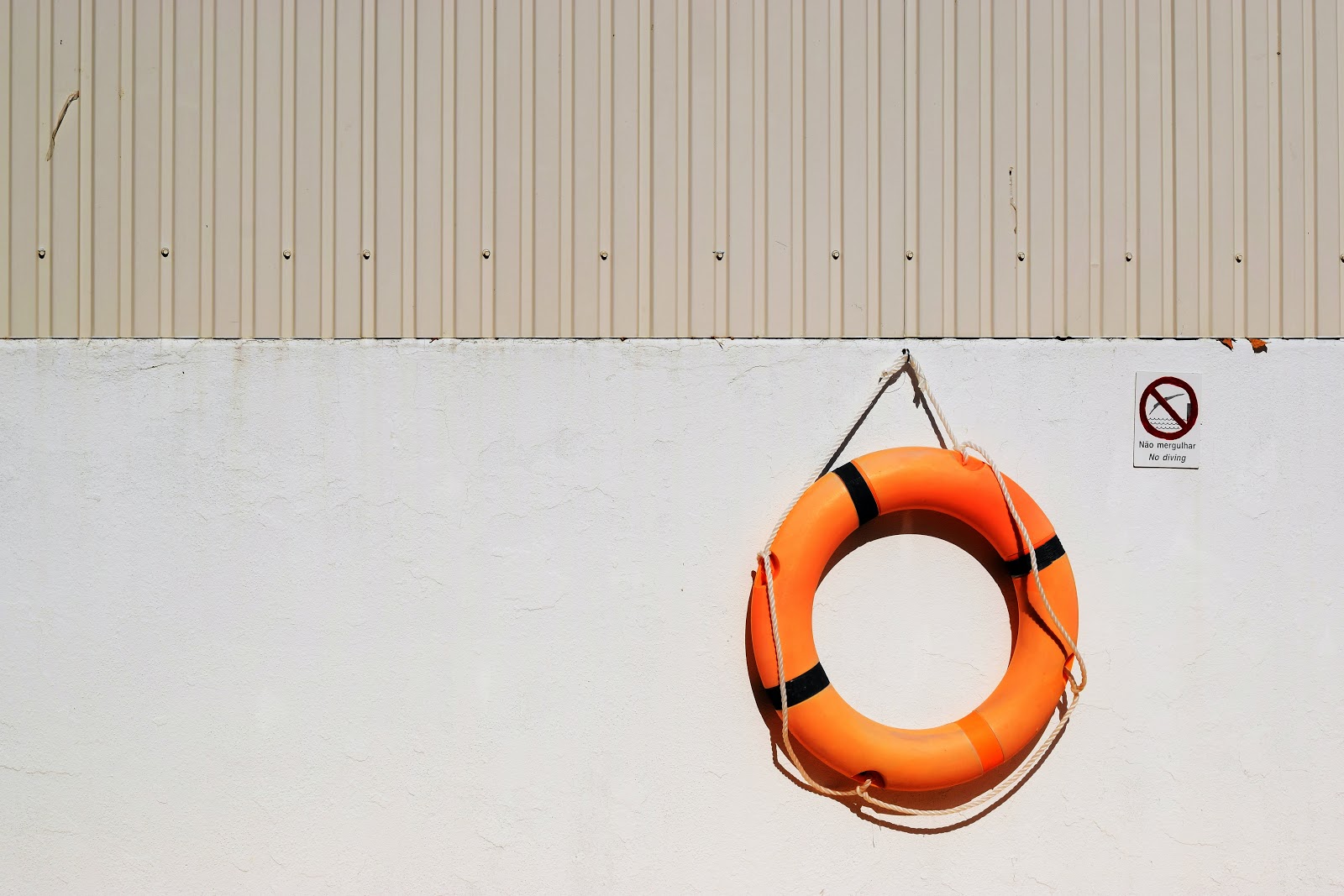 Project Risk Management