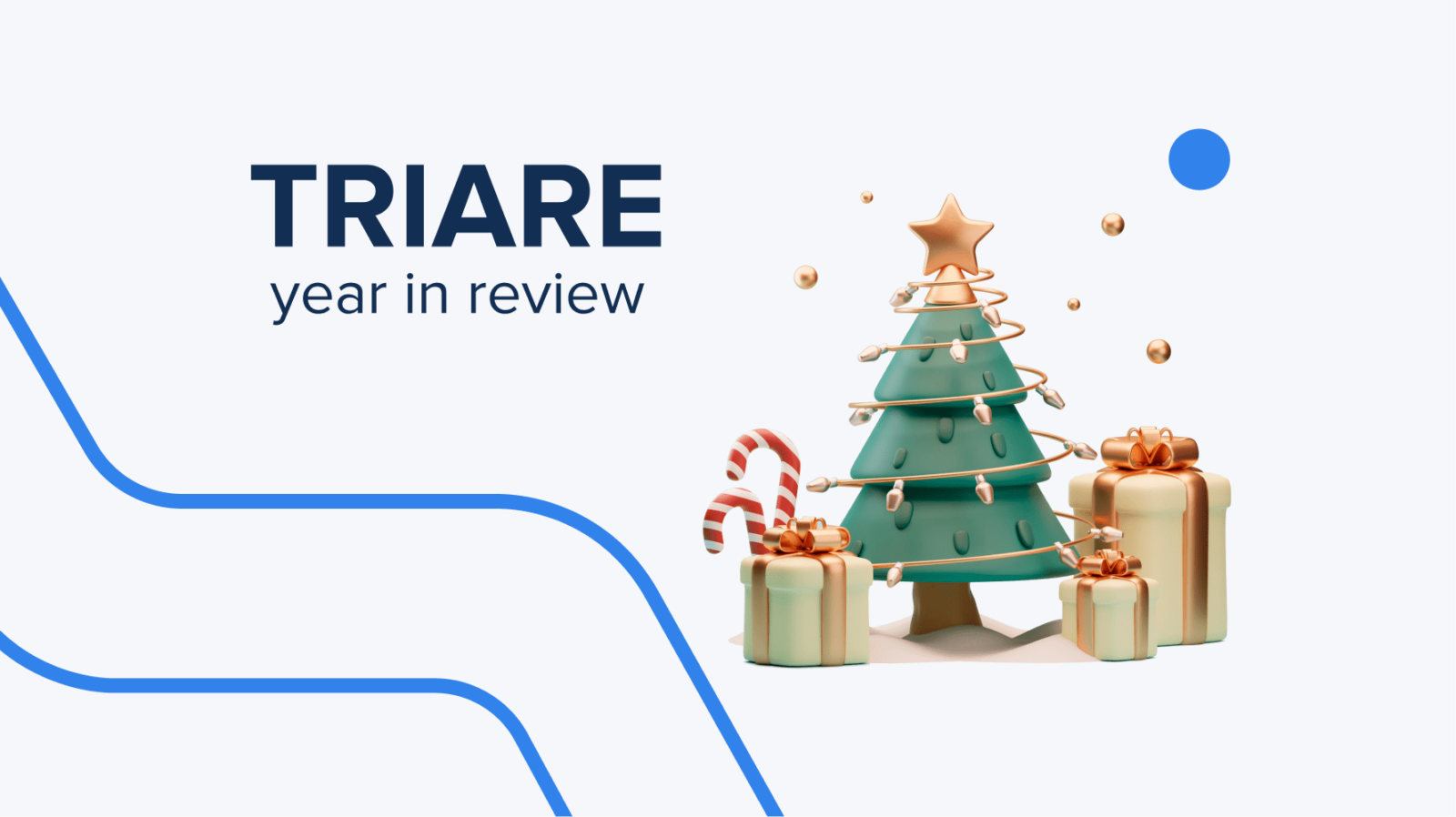 TRIARE Software Development Company: Year in Review
